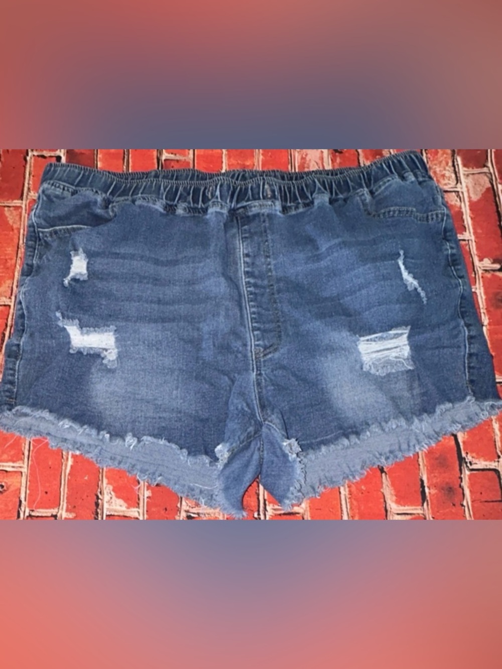 Women's Blue Distressed Denim Jean Shorts
